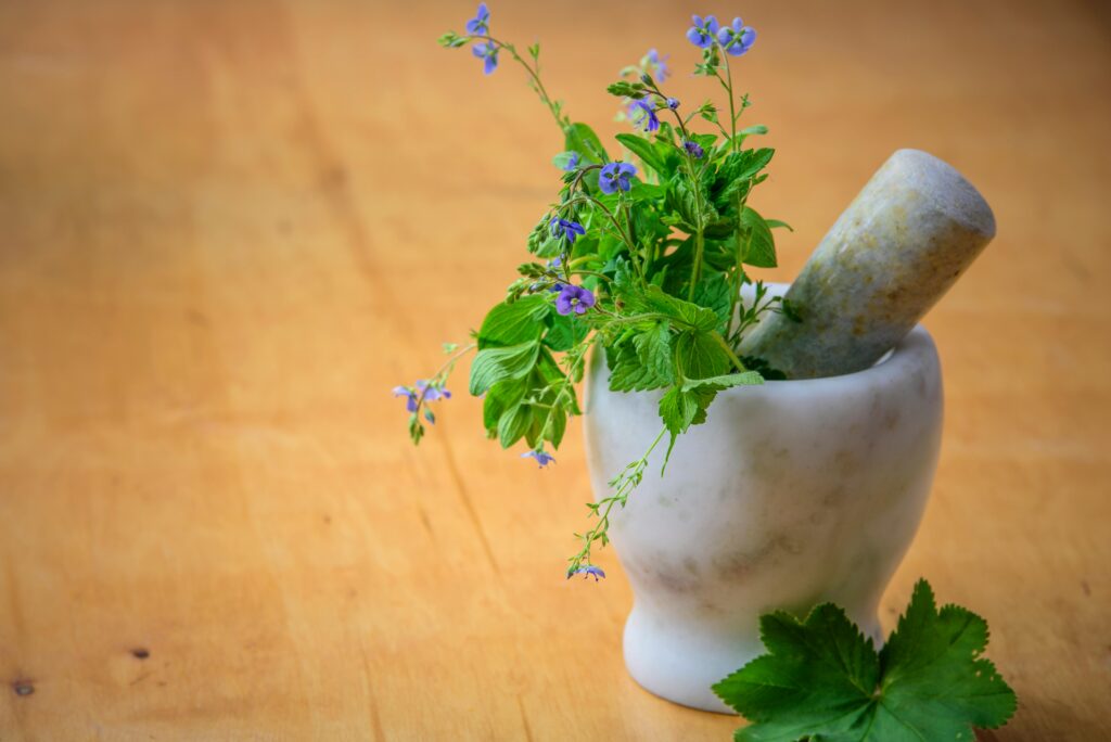 Well Health Organic Ayurveda